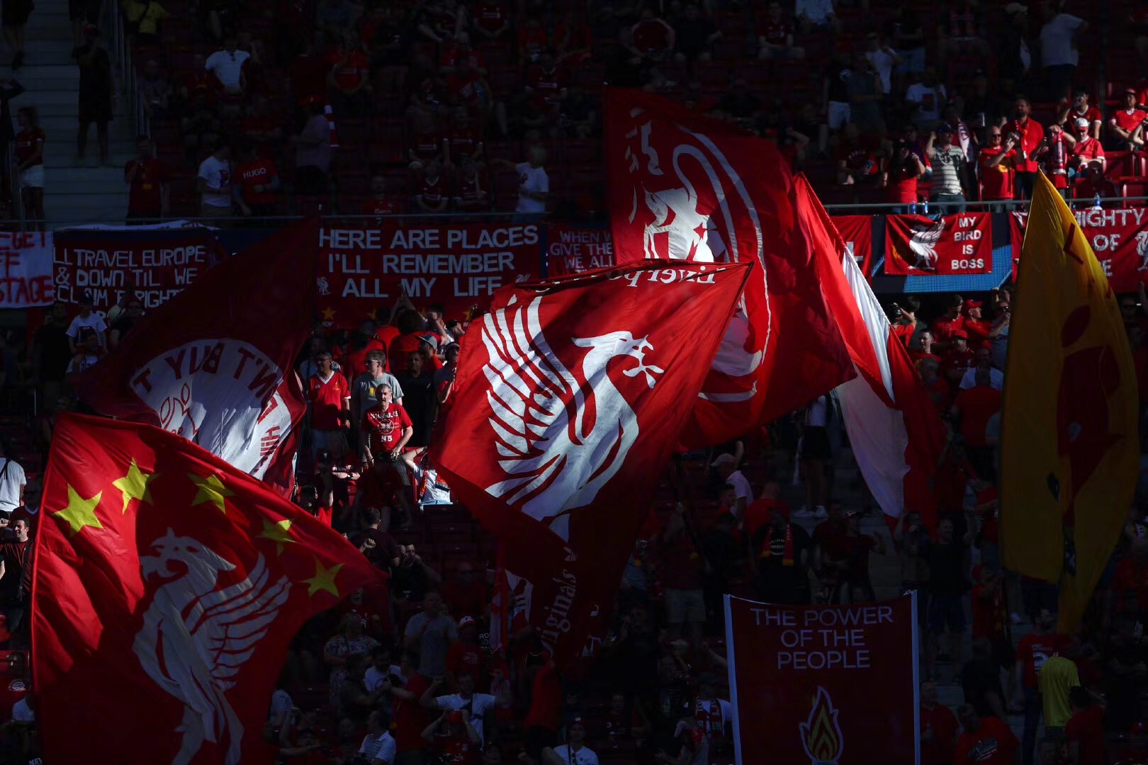 名宿称德约拿大满贯冠军需要运气，澳网官方力挺斯瓦泰克2026夺冠